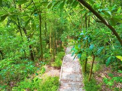 -神光山国家森林公园