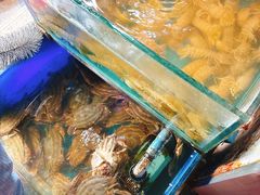 -赵璐海鲜面馆(德行路店)