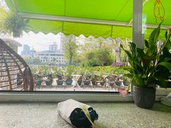 -BIGHEAD大头家咖啡馆(蛇口店)