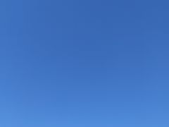 -瑶湖郊野森林公园