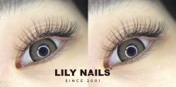 -LILY NAILS美甲美睫