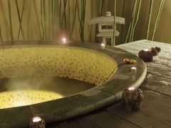 -春晖园度假酒店温泉