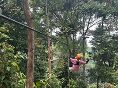 -清迈丛林飞跃 JungleFlight