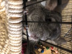 -平行世界·猫咖(首经贸店)