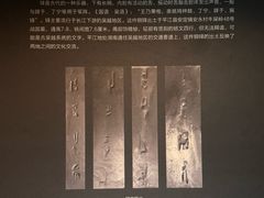 -岳阳市博物馆