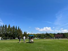 -上海滨江森林公园