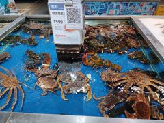 -盒马鲜生(红莲店)