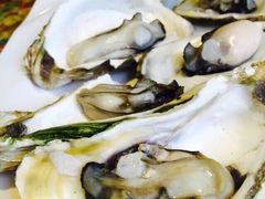 前海沿儿-鲁前海沿儿