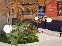 -帕帕拉兹宠物(亚洲旗舰店)