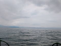 -抚仙湖禄充风景区