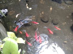 -茅台镇网红溶洞餐厅·茅帮菜馆