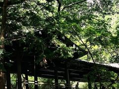 -楠溪江风景名胜区