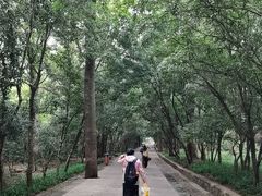 -灵谷景区