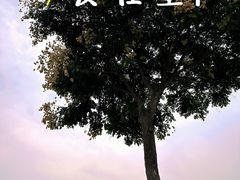 -汉长安城未央宫国家考古遗址公园