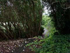 -华东政法大学(松江校区)