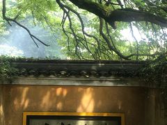 -普陀山风景区-佛顶山