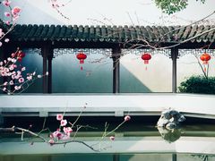 -秋霞圃