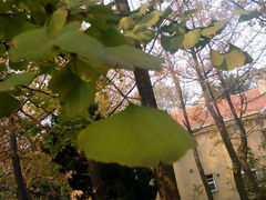 android_upload_pic-八大关景区