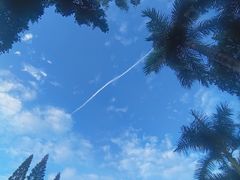 -深圳仙湖植物园