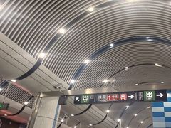 -大望路(地铁站)
