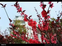 -苏州香山国际大酒店