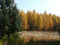 -御道口草原森林风景区-游客咨询处