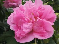 -福建鲤鱼洲酒店