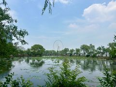 -无锡蠡湖国家湿地公园-蠡园