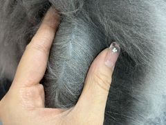 -唐小姐の私宠·宠物洗护美容·撸猫馆·购宠(周浦万达旗舰店)