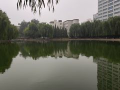 -团结湖公园