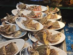 -亚马逊蒸汽活海鲜自助(LCM置汇旭辉广场店)