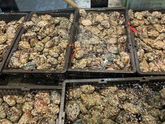 -海鲜e族(马王堆店)