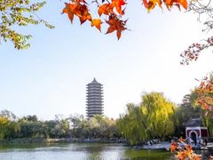 -博雅塔