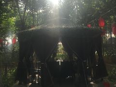 -草根堂农场