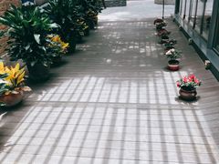 -芙蓉堂(武汉天地店)