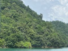 -千岛湖东南湖区