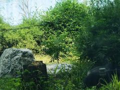 -成都动物园