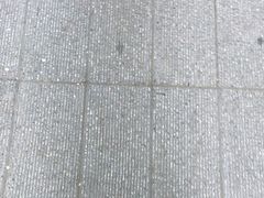 -泉儿头杂碎·清真(城东总店)