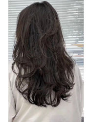 -蚂蚁造型俱乐部