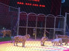 -西安秦岭野生动物园