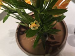 -九福楼大酒店