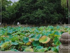 -钱王祠