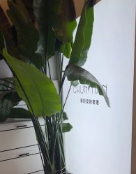 -春田皮肤管理中心品牌旗舰店