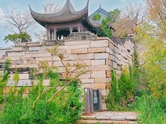 -广富林郊野公园