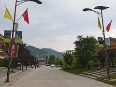 -青峰峡国家森林公园