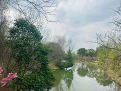 -梁鸿国家湿地公园