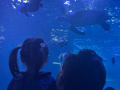 -太平洋海底世界