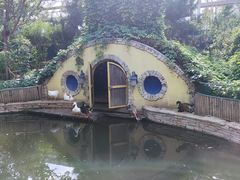 -南宫五洲植物乐园