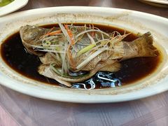 清蒸鲜白鱼-西新饭店(城中店)