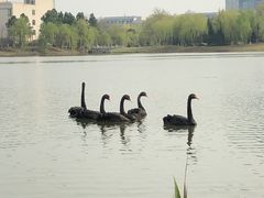 -江南大学(蠡湖校区)